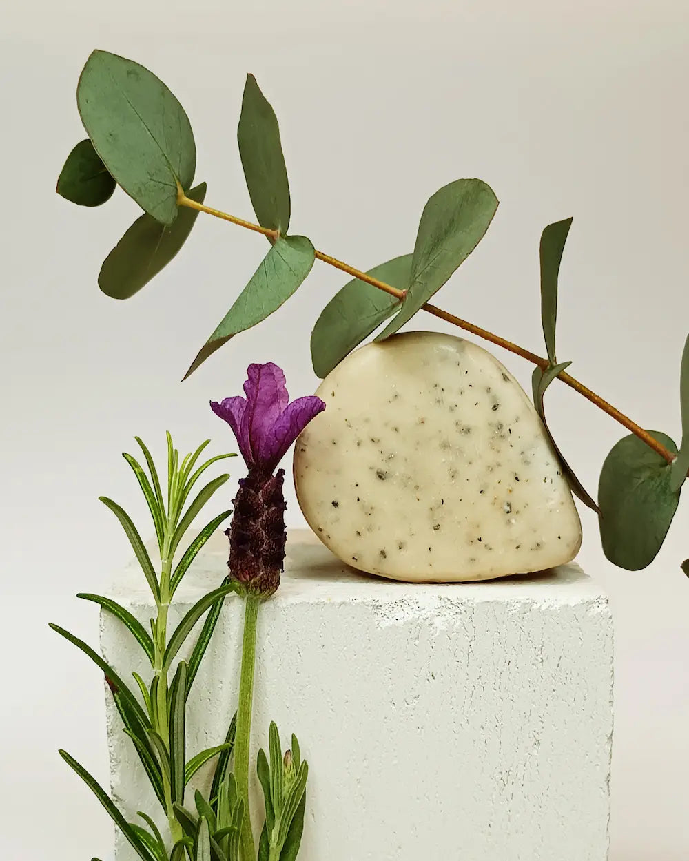 Shampoobar voedt & herstel