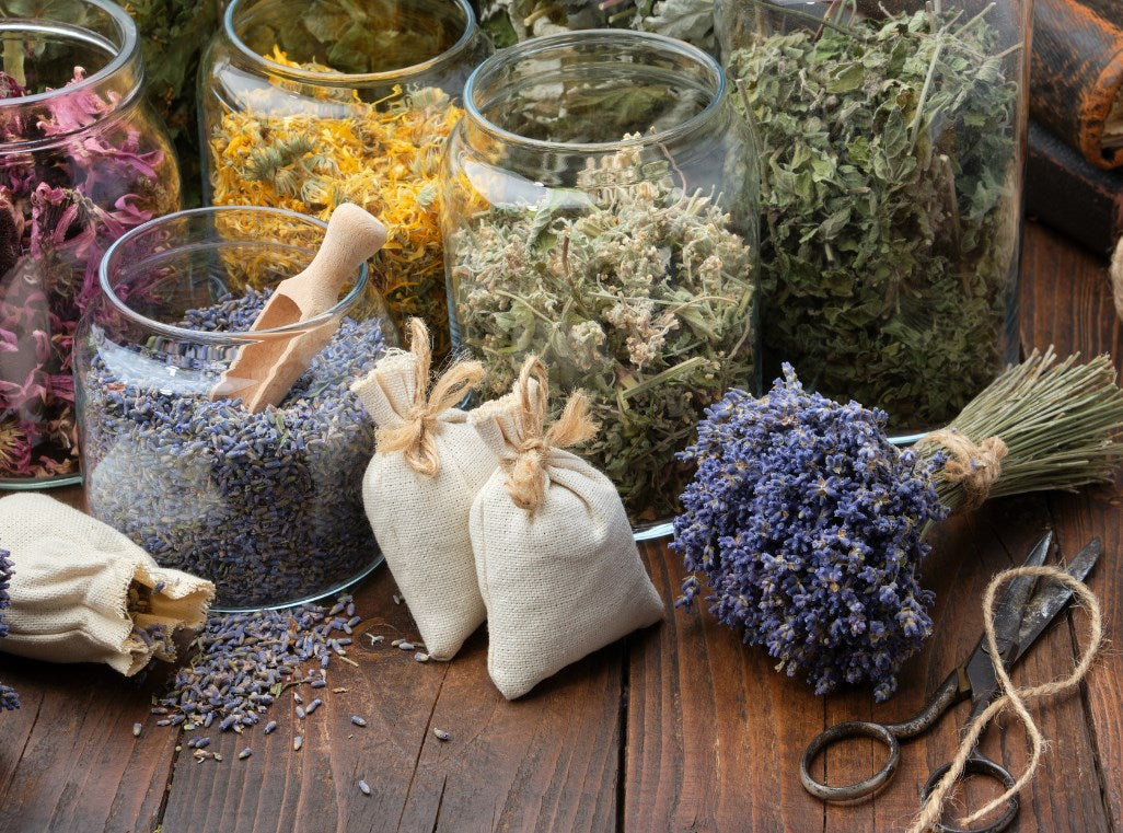 Kruiden voor DIY cosmetica: 7 kruiden + zelf maceraat maken