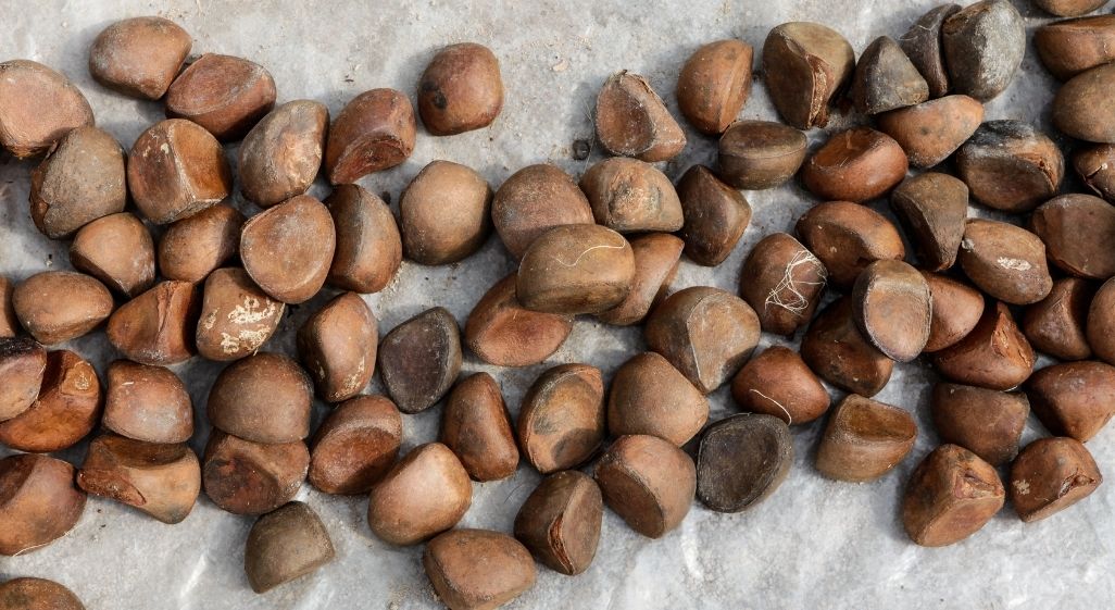 Krappa Olie: Het geheime wapen voor je huid