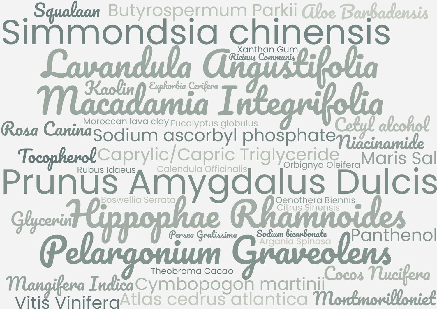 Blog INCI: De sleutel tot het begrijpen van cosmetische Ingrediënten